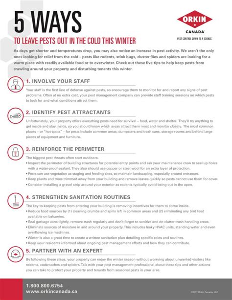 5 Ways To Leave Pests Out In The Cold This Winter Blog Orkin Canada 5 Ways To Leave Pests Out In The Cold This Winter Blog Orkin Canada