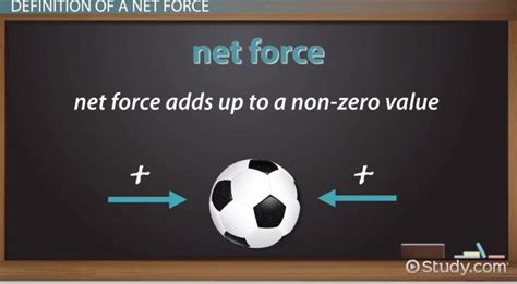Finding The Net Force Equation Examples Diagram Video Lesson Finding The Net Force Equation Examples Diagram Video Lesson