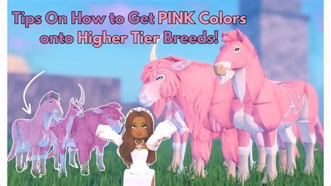 Tips On Breeding Pink Colors Onto Higher Tier Species In Horse Life Tips On Breeding Pink Colors Onto Higher Tier Species In Horse Life
